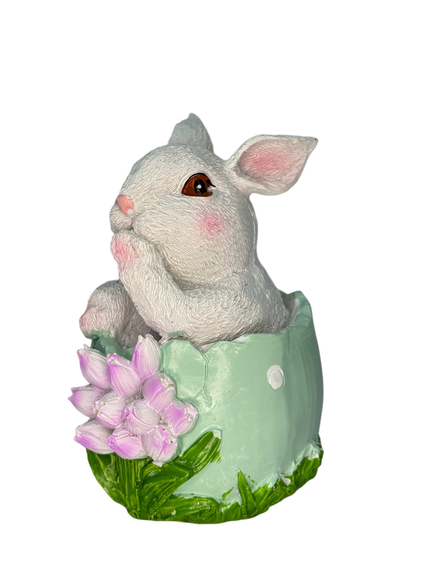 Easter Bunny In Egg