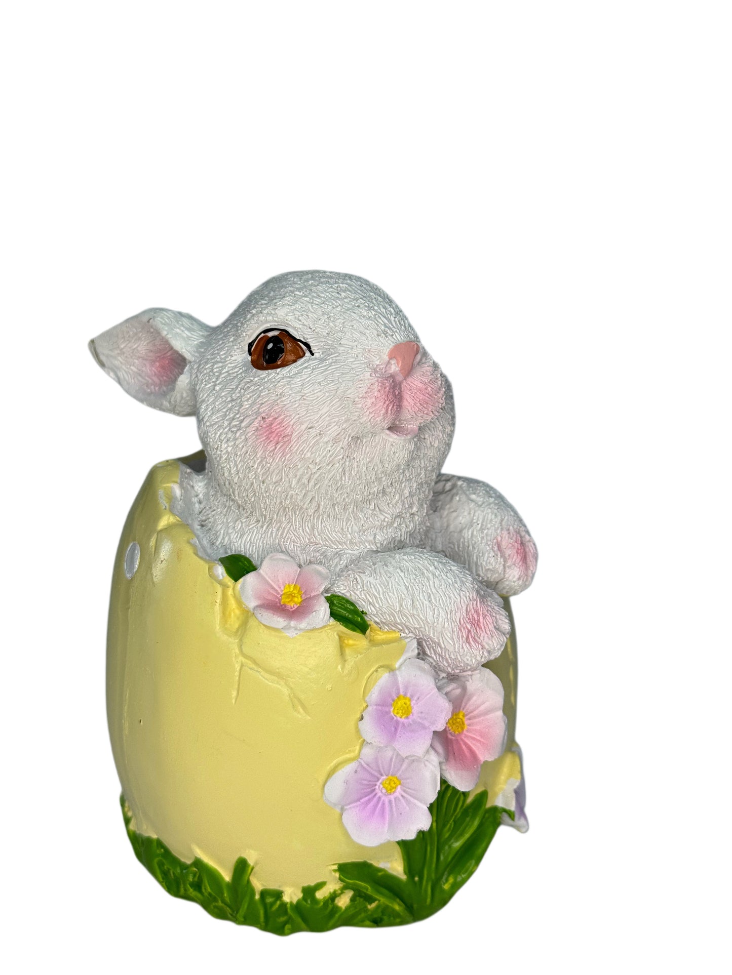 Easter Bunny In Egg