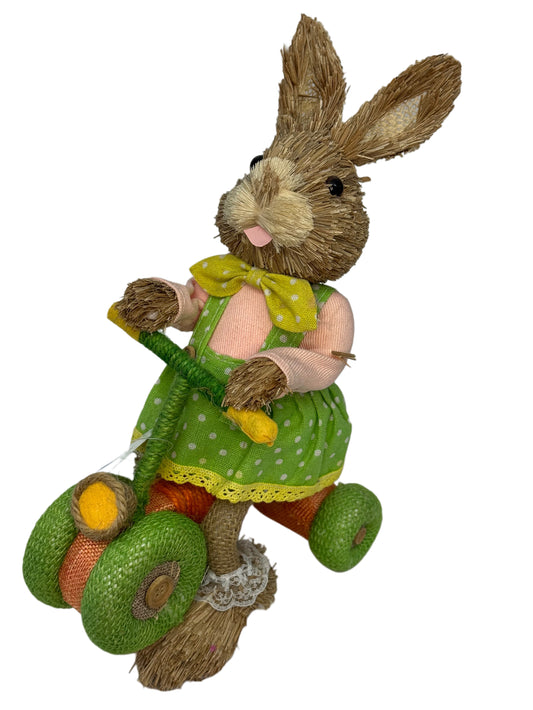 Easter Bunny On Bike