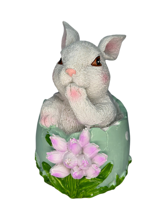 Easter Bunny In Egg