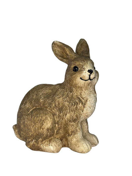 Easter Bunny Realistic